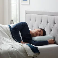 Standard Scented Aromatherapy Bed Pillow Eucalyptus Mint - Lucid Essence -Cozy Bedding Home GUEST 024070a5 2008 4dd7 9f3b 6d5492aee827