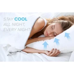 Aghana Digitals Hypoallergenic Down Alternative Bed Pillows Set Of 2, Standard Size -Cozy Bedding Home GUEST 1bf9e2eb 1358 4cd6 a152 8e78dbf3de40