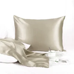 Queen/20"x30" Silk 25 Momme Breathable Pillow Cases Taupe - PiccoCasa