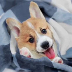 Featured Products -Cozy Bedding Home GUEST a78fc1c7 f84b 4093 9394 14de89ee013c