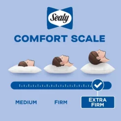 Sealy King 2pk Medium Dream Touch Pillow -Cozy Bedding Home GUEST b87d8f50 bfb1 437f 9423 4bd350f37eef