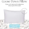 East Coast Bedding Down Pillow - White Goose Down & Feather (Standard) -Cozy Bedding Home GUEST cf7df163 ada4 4579 8672 2b54a418b5d6
