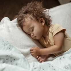 Southshore Fine Living Sweet Florals Oversized Down Alternative Comforter Set -Cozy Bedding Home GUEST d0afad8e aed0 469f b70d 511397d9117e